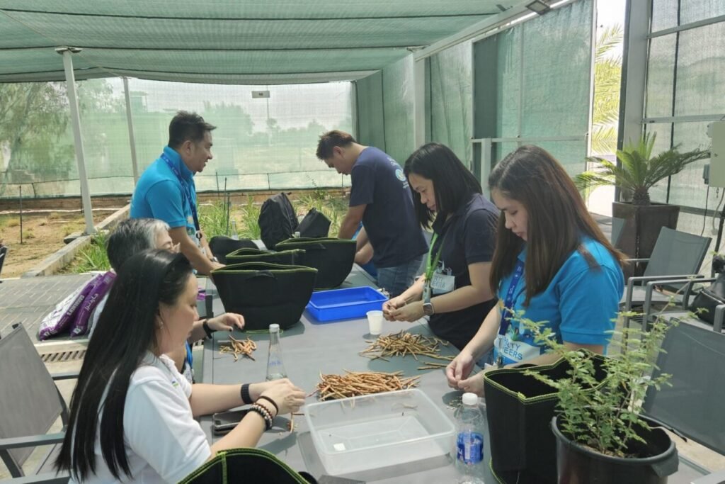 Ghaf seed planting activity by Companies for Good