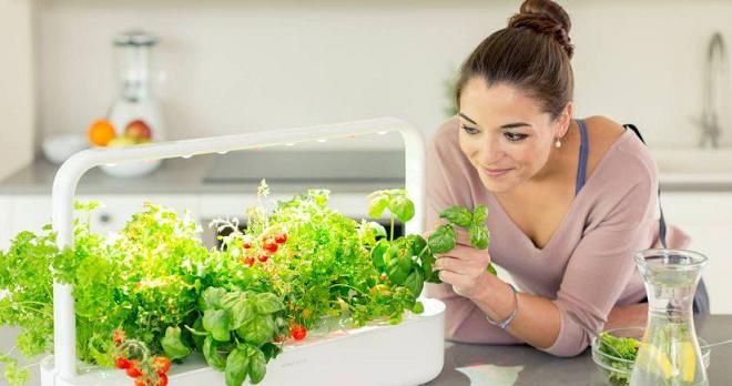 Alternative Urban Farmingactivites companies for good UAE Dubai
