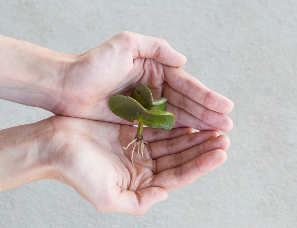 Sustainable environment