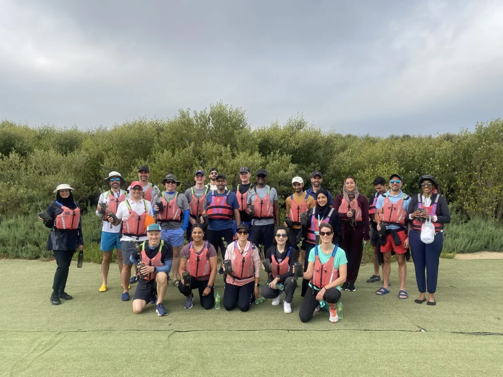 mangrove planting & kayaking