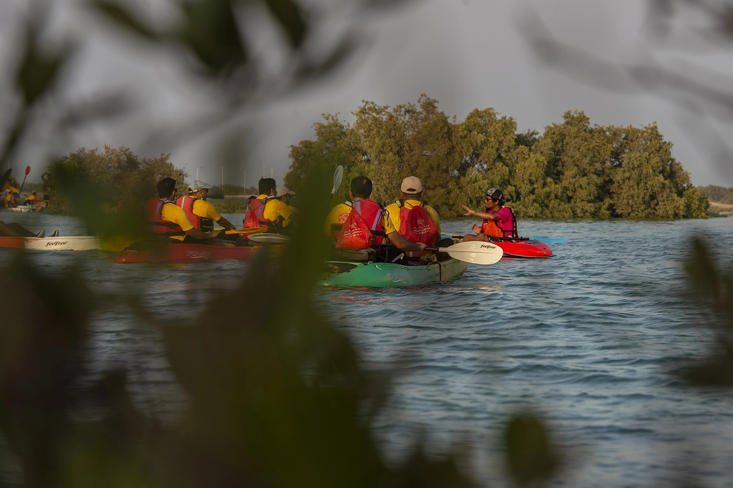 Group kayaking on a serene river, framed by leaves in the foreground.