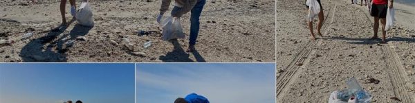 Collage of volunteers cleaning a beach, collecting trash and walking along the shoreline under a clear blue sky.