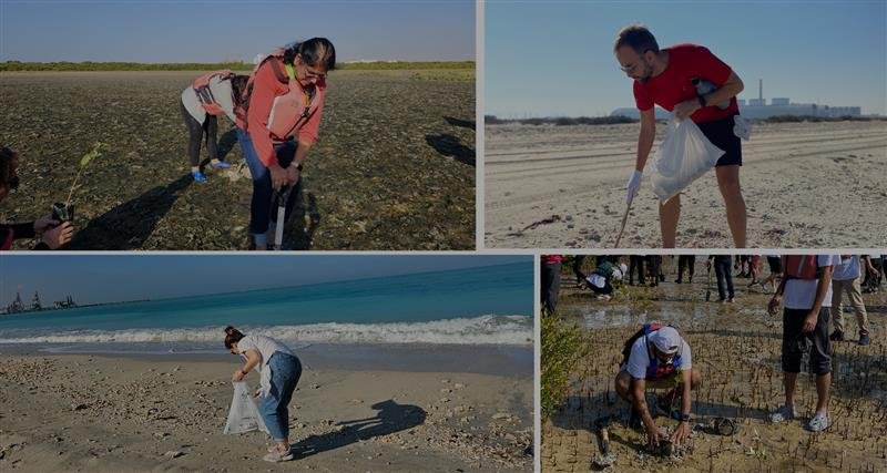 Volunteers participating in a beach cleanup, collecting litter and plastic waste along the shore on a sunny day.