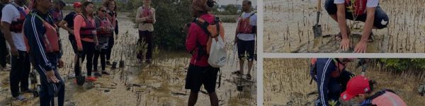 A group of people in life vests gather in a mangrove area, attentively observing, learning, and interacting with the environment.