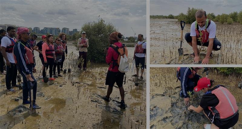 A group of people in life vests gather in a mangrove area, attentively observing, learning, and interacting with the environment.