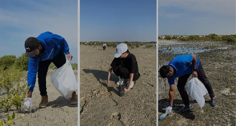 Volunteers clean up a coastal area, picking up trash and debris while surrounded by natural vegetation under clear skies.