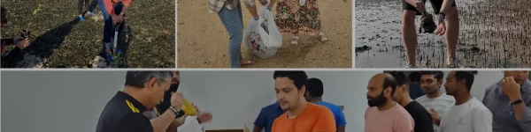 A collage featuring outdoor activities, including beach clean-up efforts and group discussions in a classroom setting.