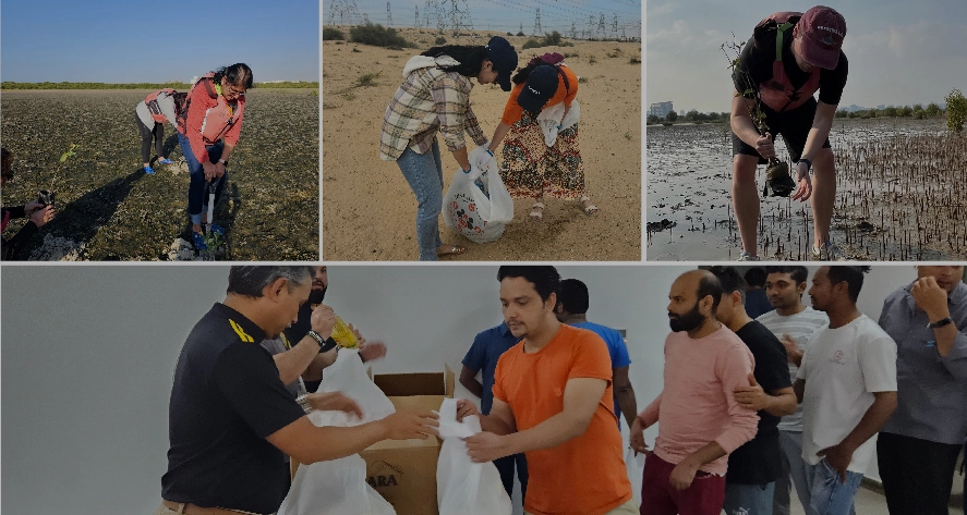 A collage featuring outdoor activities, including beach clean-up efforts and group discussions in a classroom setting.