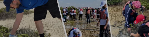 Volunteers participate in a coastal cleanup, planting mangroves and caring for the environment under sunny skies.