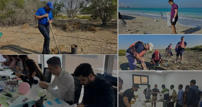 A collage of fieldwork and classroom activities, showcasing volunteers and researchers engaged in environmental studies and data collection.