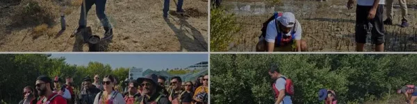 A collage of outdoor activities showing people gardening, exploring landscapes, and participating in a group event surrounded by nature.