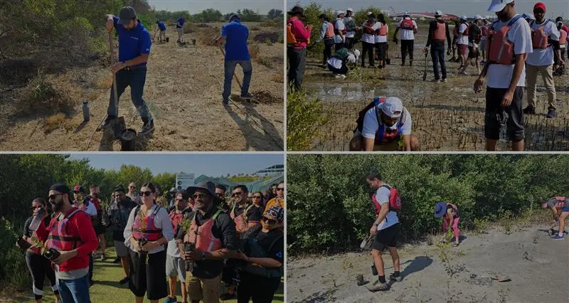 A collage of outdoor activities showing people gardening, exploring landscapes, and participating in a group event surrounded by nature.