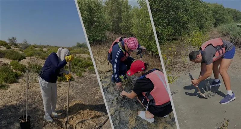 Three individuals in outdoor gear planting and tending to young plants in a natural landscape, focused on restoration efforts.