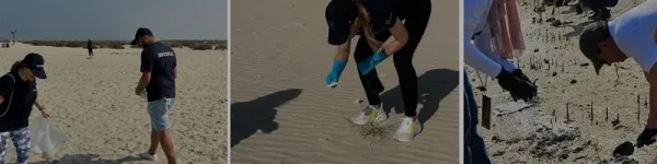 Volunteers cleaning a sandy beach, collecting debris, and planting seedlings for environmental conservation efforts.