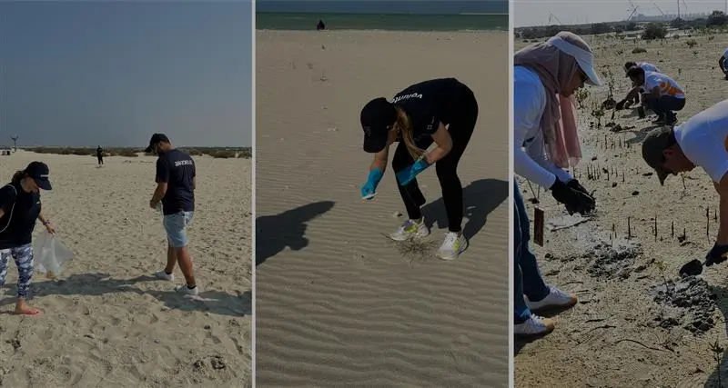 Volunteers cleaning a sandy beach, collecting debris, and planting seedlings for environmental conservation efforts.
