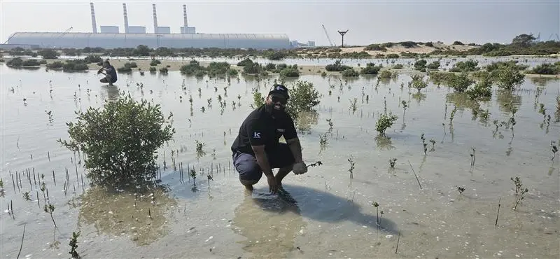 A man crouches in shallow water among mangrove saplings, smiling as he participates in environmental conservation efforts.
