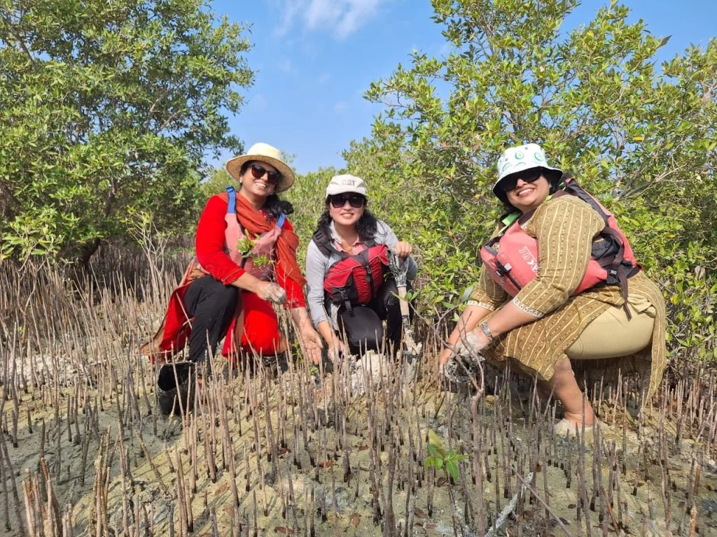 Three individuals wearing life jackets explore a mangrove ecosystem, surrounded by lush greenery and mangrove roots under a blue sky.