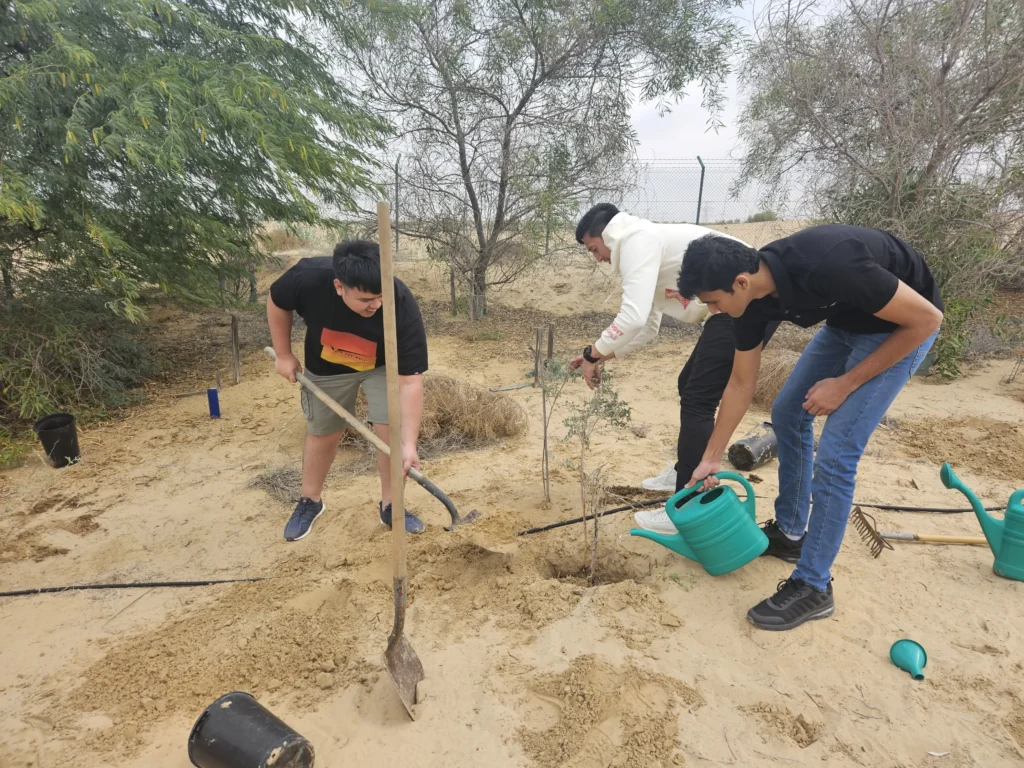 Three volunteers planting saplings in sandy terrain
