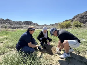 Three individuals are outdoors, kneeling on grassy ground and planting in a sunny landscape with rocky hills in the background.